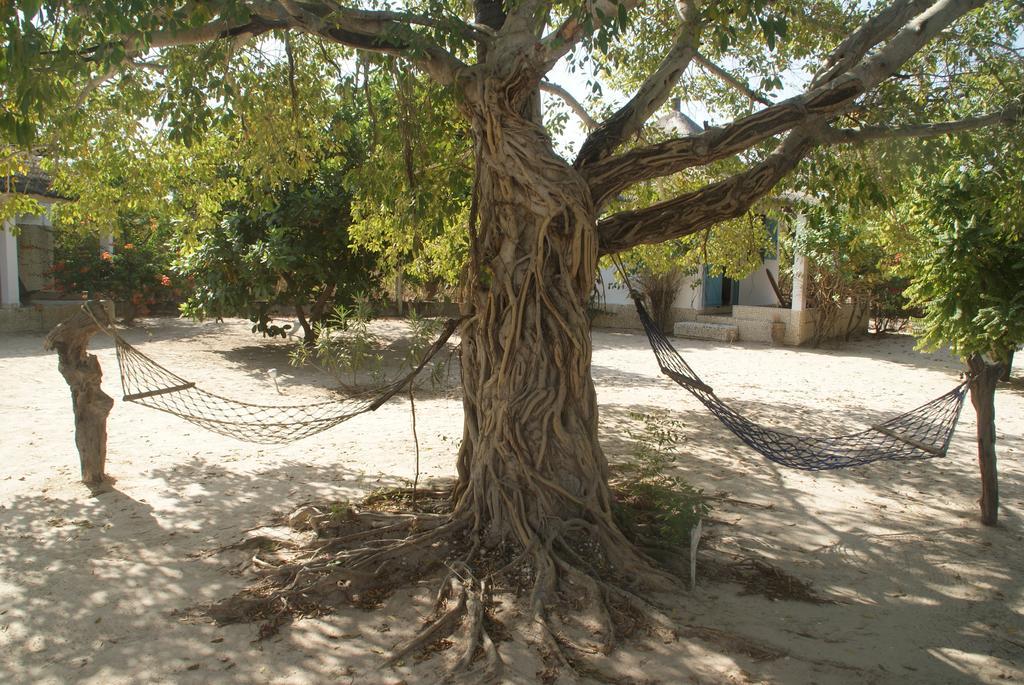 Bazouk Du Saloum Ecolodge Mar Lodj Quarto foto